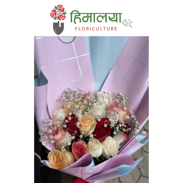 Mixed Roses Bouquet - Premium Bouquet