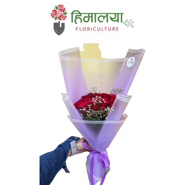 Pink Premium Rose Bouquet - 10 Stems