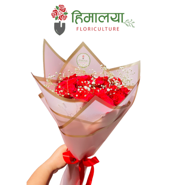 Red Roses Pink Premium Bouquet
