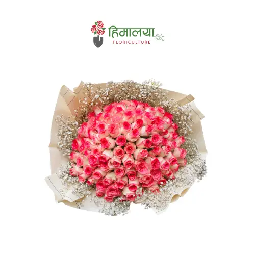 100 stems pink roses bouquet