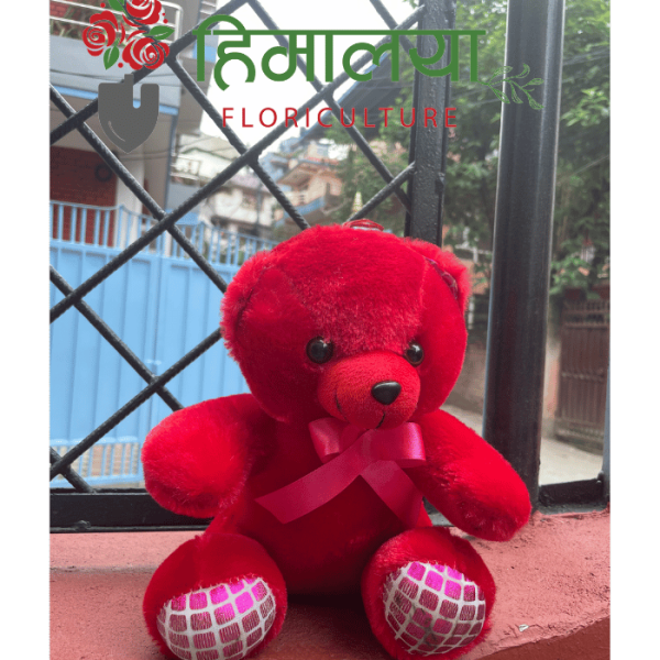 Teddy Bear (Small)
