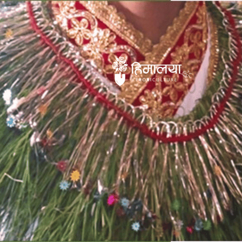Dubo Garland Design 003