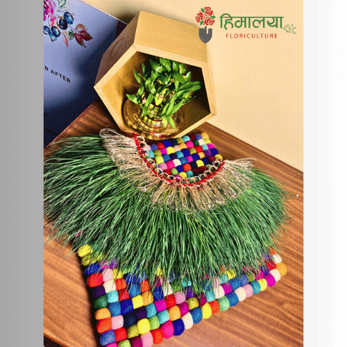 Dubo Garland Design 005