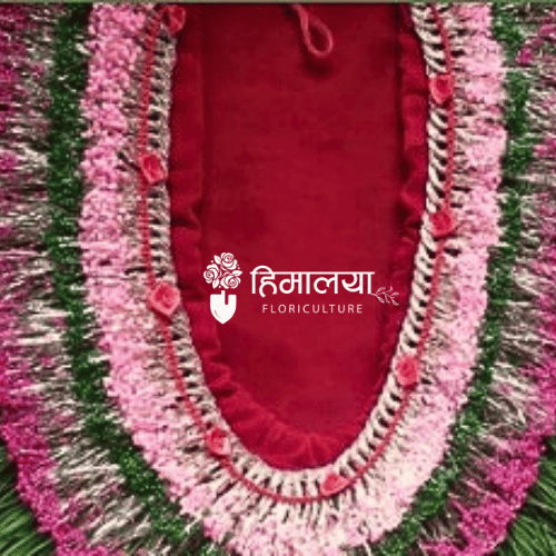 Dubo Garland Design 038